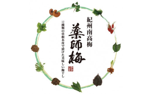 薬師梅【蜜(はちみつ味)】 yakushi002A