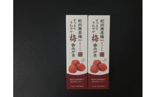 紀州南高梅　すっきりさわやか梅歯みがき　koya001A