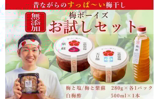 【お試し・無添加梅干し】梅干し(天日塩漬け、紫蘇漬け 各280g×1パック)、白梅酢1本セット / 南高梅 umehkr008A