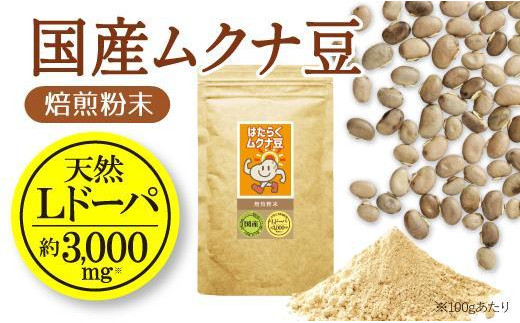 国産ムクナ豆粉末 300g×1袋【老舗生薬屋のムクナ豆】 hoso013A