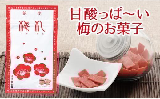 紀州梅札 14g×30袋 梅づくり100年「紀州ほそ川」の梅お菓子 hoso005A
