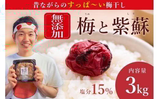 【常温保管可能 】天日塩と紫蘇だけで漬けた無添加梅干し3Kg/南高梅 umehkr004A