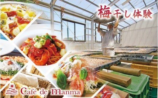 カフェドマンマ食事券1500円分＆梅干し作業体験チケット  iwasho008A