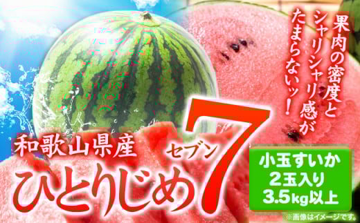 和歌山県産 小玉すいか ひとりじめ7(セブン) 2玉入り 3.5kg以上《2026年6月下旬-8月中旬頃出荷》 和歌山県 日高川町 スイカ 西瓜 すいか
