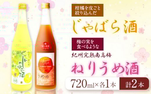 紀州完熟南高梅 ねりうめ酒 じゃばら酒 飲み比べセット 720ml×2本 厳選館 《90日以内に出荷予定(土日祝除く)》 和歌山県 日高川町 酒 飲み比べ 1440ml