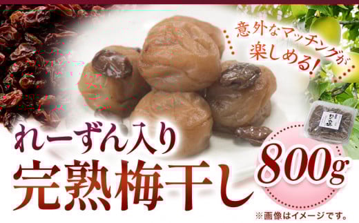 紀州南高梅使用れーずん入り完熟梅干し 800g 厳選館 《90日以内に出荷予定(土日祝除く)》 和歌山県 日高川町 紀州南高梅 れーずん レーズン 梅干し