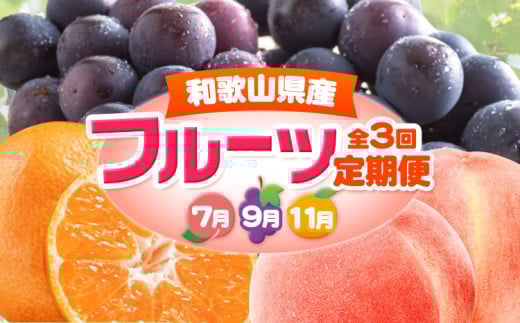 人気フルーツ全3回(7月・9月・11月)定期便 厳選館《7月上旬-11月末頃出荷》和歌山県 日高川町 果物 フルーツ 和歌山の 桃 種なし ピオーネ 有田 みかん 送料無料【配送不可地域あり】