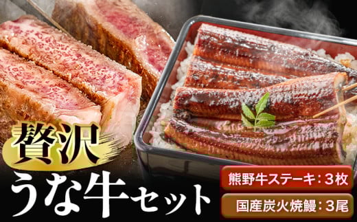 ステーキ 鰻 熊野牛 国産うなぎ 熊野牛ステーキと国産炭火焼鰻の贅沢うな牛セットB 計6食 株式会社Meat Factory《30日以内に出荷予定(土日祝除く)》和歌山県 日高川町 ロースステーキ 牛肉 肉 国産 うなぎ 送料無料
