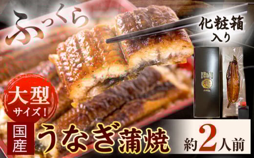 うなぎ 大型サイズ ふっくら柔らか国産 うなぎ 蒲焼き 1尾 化粧箱入(真空パック入) 株式会社魚鶴《30日以内に出荷予定(土日祝除く)》 和歌山県 日高川町 うなぎ 鰻 ギフト 贈り物