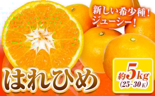【先行予約】みかん はれひめ 約 5kg 25玉 ～ 30玉 紀農人株式会社《2025年12月中旬-2月上旬頃出荷》 和歌山県 日高川町 果物 フルーツ 柑橘 蜜柑 柑橘類 旬