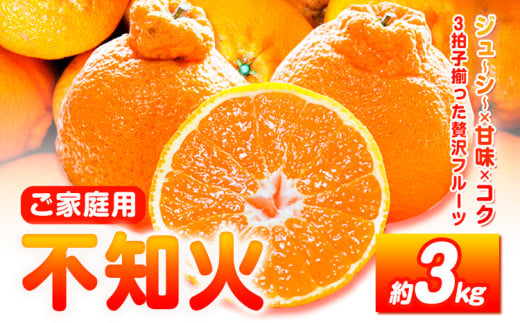 【先行予約】【ご家庭用】紀州有田産 不知火 ( しらぬひ )  約3kg 株式会社魚鶴 《2月中旬-3月中旬頃出荷》 和歌山県 日高川町 不知火 みかん 柑橘 果物 フルーツ デコポン と同品種 でこぽん 訳あり不知火 訳ありデコポン 訳あり