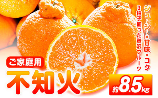 【先行予約】【ご家庭用】紀州有田産 不知火 ( しらぬひ )  約8.5kg 株式会社魚鶴 《2月中旬-3月中旬頃出荷》 和歌山県 日高川町 不知火 みかん 柑橘 果物 フルーツ デコポン と同品種 でこぽん 訳あり不知火 訳ありデコポン 訳あり