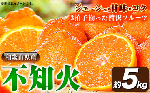 【先行予約】紀州有田産不知火( デコポン と同品種 ) 約 5kg 株式会社魚鶴《2026年2月中旬-3月中旬頃出荷》 和歌山県 日高川町 不知火 しらぬい 柑橘デコポン でこぽん しらぬい デコポン