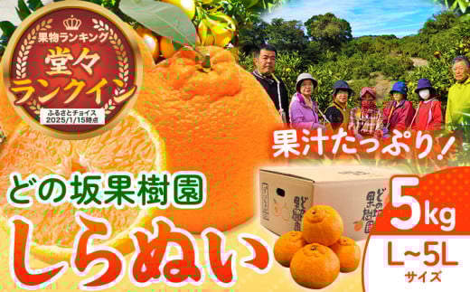 【先行予約】不知火 ( デコポン と同品種 ) しらぬい 約 5kg (L～5Lサイズ) どの坂果樹園《2026年2月中旬-4月上旬頃出荷》 和歌山県 日高川町 しらぬい 不知火 デコポン でこぽん 旬 果物 フルーツ くだもの 和歌山 しらぬい 柑橘 産地直送 送料無料