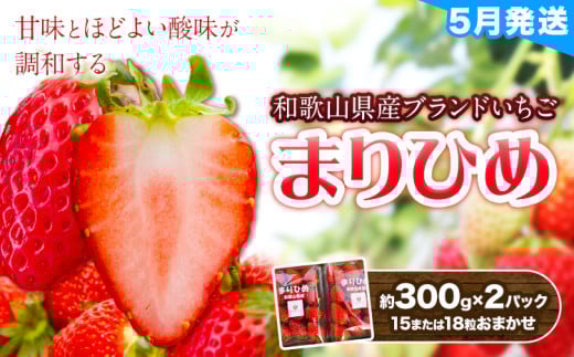 【2026年5月発送】和歌山県産ブランド いちご「まりひめ」約300g×2パック (15または18粒おまかせ) 日高川町厳選館《5月上旬-5月末頃出荷予定》和歌山県 日高川町 送料無料 苺 鞠姫 マリヒメ フルーツ 果物 お取り寄せ 【配送不可地域あり】