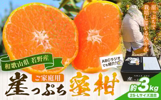 みかん ご家庭用 崖っぷち蜜柑 若野産 約3kg 2S~Lサイズ混合 《11月下旬-1月上旬頃出荷予定》 崖っぷち蜜柑 和歌山県 日高川町 みかん 柑橘 フルーツ 果物 ミカン 送料無料