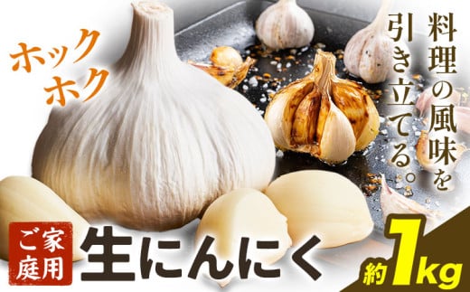 【先行予約】にんにく 野菜 和歌山県産 生にんにく 約1kg ご家庭用 日高川町厳選館 《5月上旬-5月中旬頃出荷》 和歌山県 日高川町 ガーリック 青果物