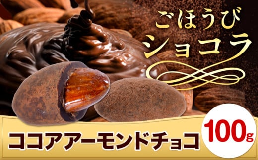 チョコ チョコレート ココア アーモンドチョコ 100g《30日以内に出荷予定(土日祝除く)》和歌山県 日高川町 送料無料 スイーツ デザート お菓子 おやつ チョコ アーモンド アーモンドチョコ ココア