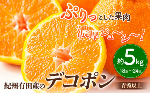 <先行予約>【お味濃厚】紀州有田産のデコポン約5kg(18玉~24玉入り・青秀以上) 厳選館 《2026年2月中旬-3月下旬頃出荷》和歌山県 日高川町 デコポン でこぽん 柑橘 果物 フルーツ 送料無料