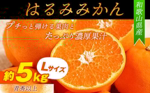 はるみ 青秀以上 紀州有田産 はるみ 約5kg(Lサイズ)厳選館《2026年1月下旬-3月上旬頃出荷》和歌山県 日高川町 フルーツ 果物 はるみ みかん