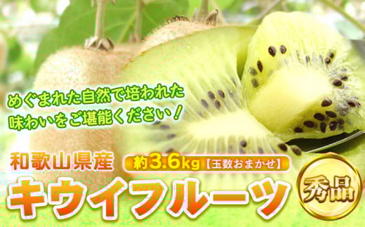 秀品 和歌山の下津で採れたキウイフルーツ約3.6kg(玉数おまかせ) 厳選館 《2026年1月中旬-3月上旬頃出荷》 和歌山県 日高川町 キウイ キウイフルーツ 秀品