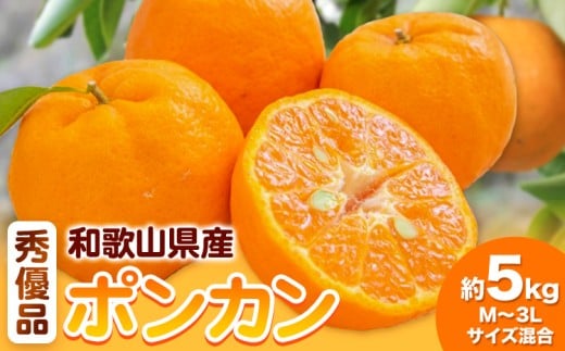和歌山県産ポンカン 約 5kg 秀優品 (M~3Lサイズ混合) 厳選館 《2026年2月上旬-3月末頃出荷》和歌山県 日高川町 柑橘 ポンカン ぽんかん フルーツ 秀品 優品