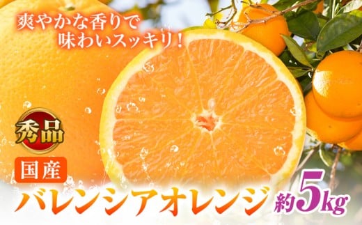 【秀品】※先行予約※希少な国産バレンシアオレンジ 約5kg 株式会社 魚鶴商店《2026年6月下旬頃~7月上旬頃出荷》和歌山県 日高川町 オレンジ 柑橘 フルーツ 果物