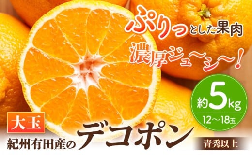 <先行予約>【お味濃厚】紀州有田産の大玉デコポン約5kg(12玉~18玉入り・青秀以上) 厳選館 《2026年1月中旬-3月下旬頃出荷》和歌山県 日高川町 デコポン でこぽん 柑橘 不知火 しらぬい 大玉 送料無料