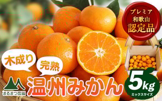 【先行予約】木成り完熟 温州 みかん ミックスサイズ 約 5kg まるまつ農園《2025年12月上旬-2026年1月末頃出荷》 和歌山県 日高川町 温州みかん みかん 完熟