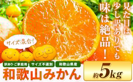 和歌山・日高川育ちの 訳あり 濃厚みかん(3S~3L)  約5kg《11月上旬-12月末頃出荷》和歌山県 日高川町 柑橘類 柑橘 果物 フルーツ ミカン 訳ありみかん 家庭用 お取り寄せフルーツ みかん