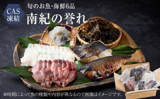 CAS凍結 南紀の誉れ 旬 の 海産物 6品 セット お楽しみ 簡単調理 干物 お造り 塩焼き など