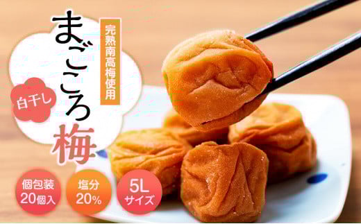 まごころ梅 白干し 塩分20% 5Lサイズ 個包装 12個入り