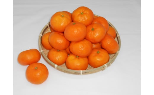 紀州完熟みかん 10kg（Sサイズ）