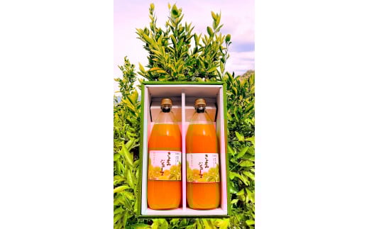 清見オレンジ ジュース 100% 1000ml 2本セット