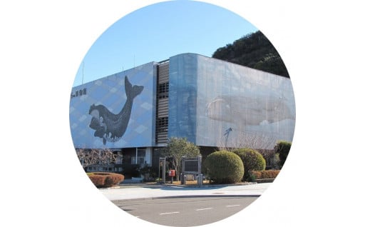●太地町立くじらの博物館に関する事業