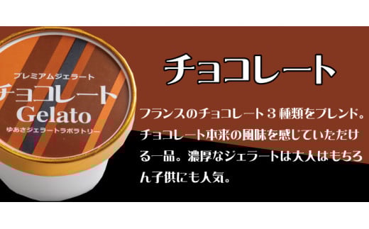 プレミアムジェラート チョコレート12個セット アイスクリームセット 100mlカップ ゆあさジェラートラボラトリー【ntbt700-03】