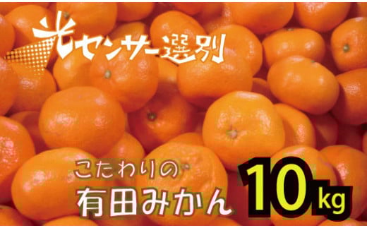 【2025年11月発送予約分】\光センサー選別/農家直送 こだわりの完熟有田みかん 約10kg+250g(傷み補償分) 【ご家庭用】 【11月発送】有機質肥料100% 有田みかん みかん ミカン 蜜柑 柑橘 果物 フルーツ 甘い 温州みかん 先行予約 【nuk101-11B】