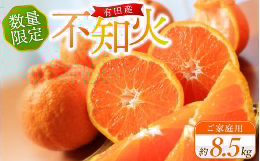 【ご家庭用】紀州有田産 不知火(しらぬひ) 約8.5kg 【予約】 訳あり ※2026年2月中旬頃〜2026年3月中旬頃に順次発送予定(お届け日指定不可) 不知火 みかん ミカン 柑橘 果物 フルーツ【uot507A】