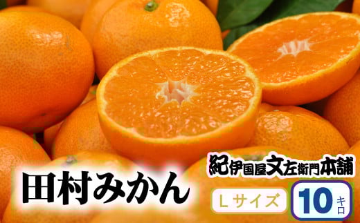 田村みかん 特選ギフト品 10kg【Lサイズ】赤秀/紀州和歌山有田郡湯浅町田村地区産 ◆2025年11月下旬~2026年1月中旬頃に順次発送(お届け日指定不可) 紀伊国屋文左衛門本舗【ntbt302B】