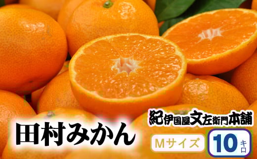 田村みかん 特選ギフト品 10kg【Mサイズ】赤秀/紀州和歌山有田郡湯浅町田村地区産 ◆2025年11月下旬~2026年1月中旬頃に順次発送(お届け日指定不可) 紀伊国屋文左衛門本舗【ntbt303B】
