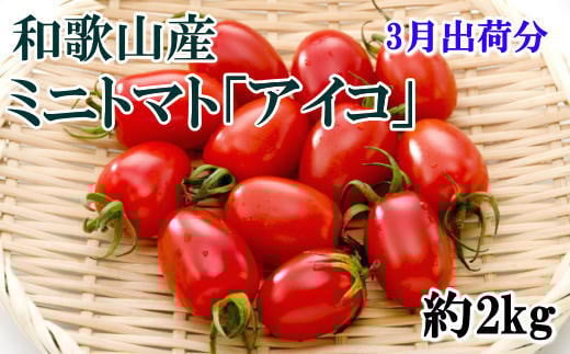 【3月出荷分】和歌山産ミニトマト「アイコトマト」約2kg(S・Mサイズおまかせ)【tec100A-3】