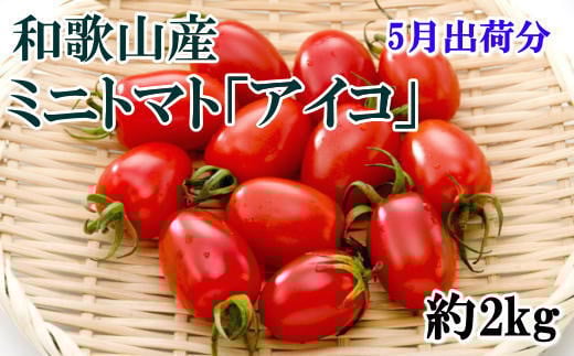 【5月出荷分】和歌山産ミニトマト「アイコトマト」約2kg(S・Mサイズおまかせ)【tec100A-5】
