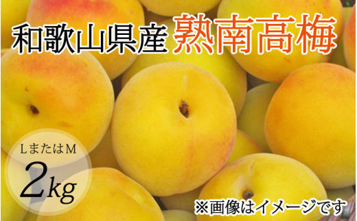 【梅干・梅酒用】(LまたはM-2Kg)熟南高梅<2026年6月上旬~7月上旬ごろに順次発送予定>【art012B】