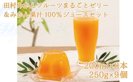 丸ごとみかんが3個入った!田村みかんフルーツまるごとゼリー9個&みかん果汁100%ジュースセット8本【uot104】