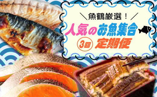 【全3回】魚鶴厳選!人気のお魚集合定期便(さば・銀鮭・うなぎ)【tkb307】