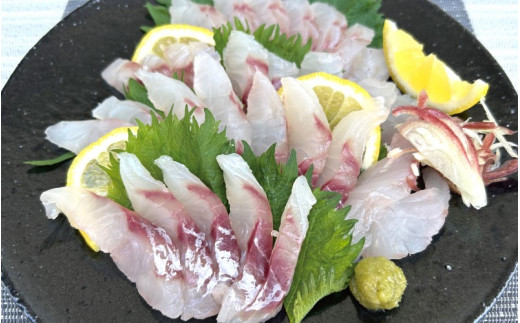 \数量限定/ クロムツの煮付用+刺身用セット 【冷蔵便】 くろむつ 黒睦 ムツ 煮つけ 煮付 煮付け 刺身 お刺身 国産 太地町【tgk110】