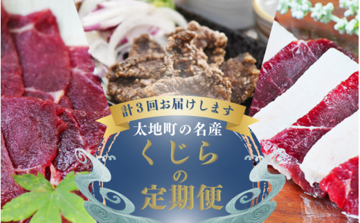 【3か月定期便】太地町の名産! くじらの人気返礼品を3ヶ月連続でお届け! / くじら 鯨 クジラ 刺身 赤身 皮 竜田揚げ クジラ肉 鯨肉 懐かしい 人気 冷凍【tkb900】
