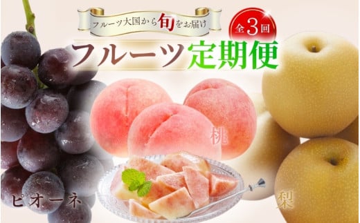 【全3回定期便】和歌山の旬のフルーツ定期便！人気の桃・ピオーネ・梨をお届け♪【tkb306】