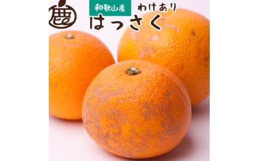 ＜先行予約＞家庭用はっさく5kg+250g（傷み補償分）【八朔みかん】＜1月より発送＞ ※北海道・沖縄・離島への配送不可【ikd140A】
