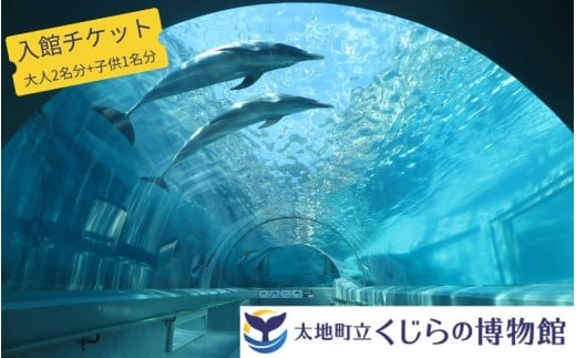 太地町立くじら博物館　入館チケット大人2名+子供1名/チケット 入館券 博物館 くじら 鯨【kzr003】